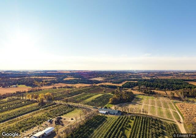 Afton Apple Orchard in Hastings, MN