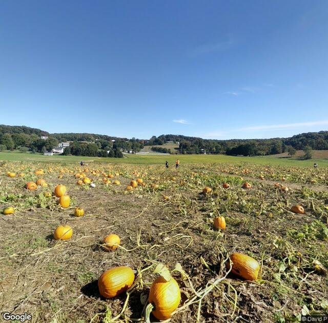 Baugher's Orchard & Farm in Westminster, MD