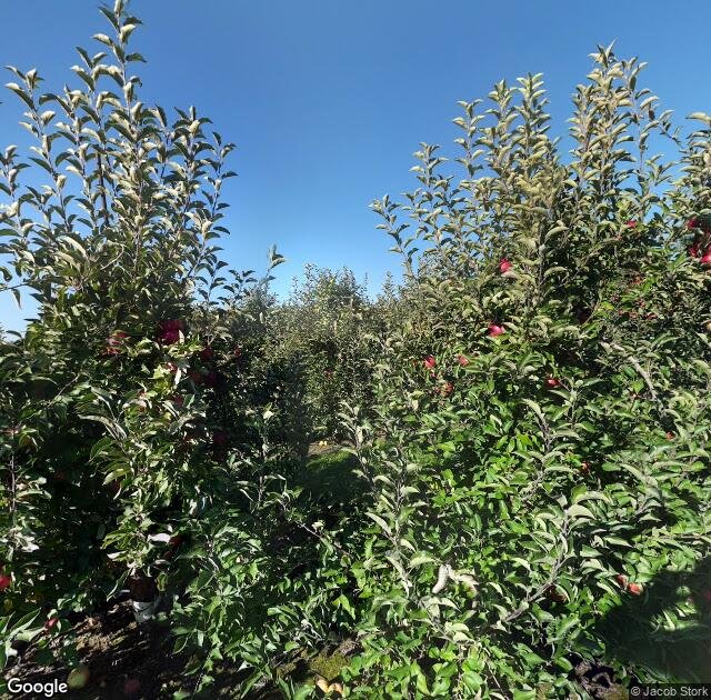 Bowman Orchards in Rexford, NY