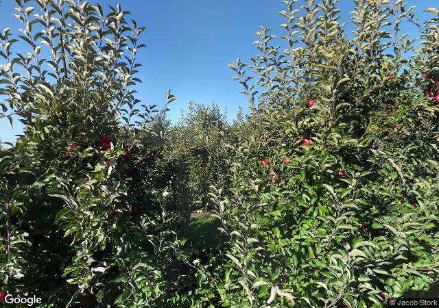 Bowman Orchards in Rexford, NY