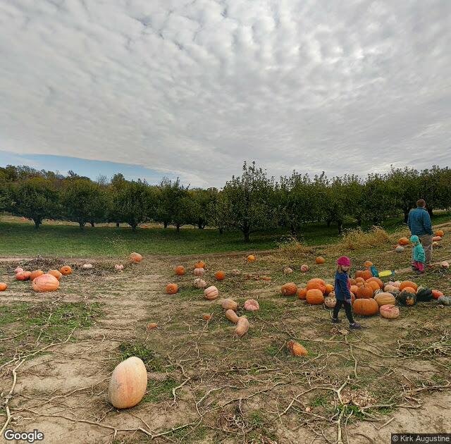 Braeutigam Orchards in Belleville, IL