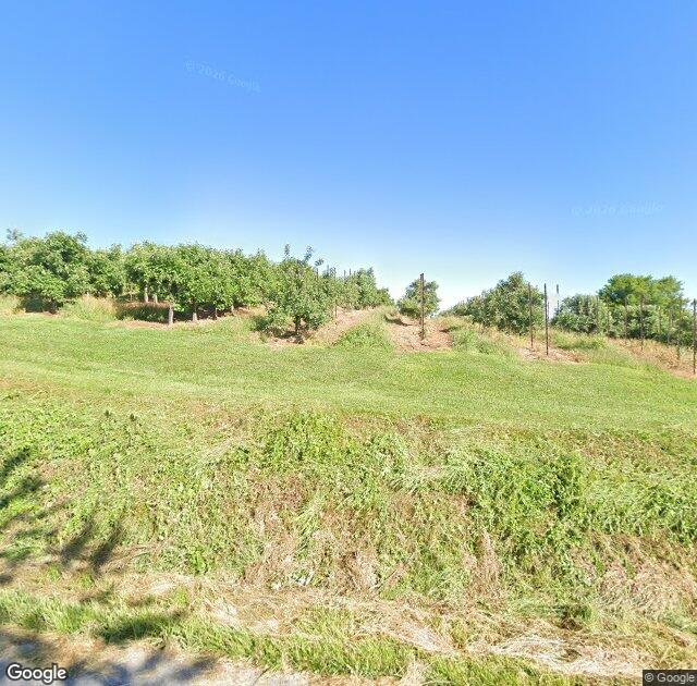 Buffalo Trail Orchard in Greeneville, TN