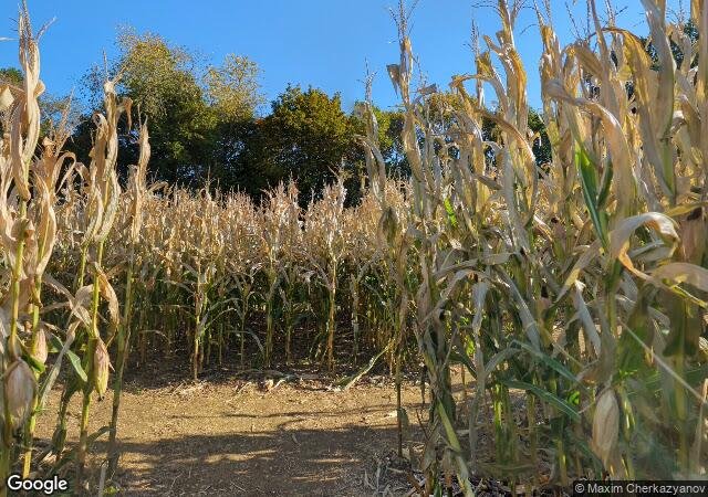 Donaldson Farms in Hackettstown, NJ