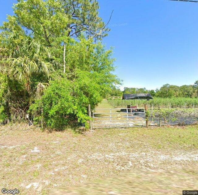 Hatfield's Orchard U-Pick in Crystal River, FL