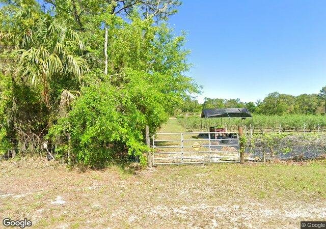 Hatfield's Orchard U-Pick in Crystal River, FL