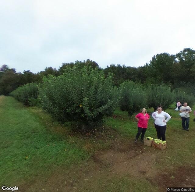 Lohr's Orchard in Churchville, MD
