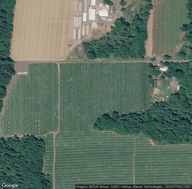 Aerial view of Mt. View Orchards in Mount Hood, OR