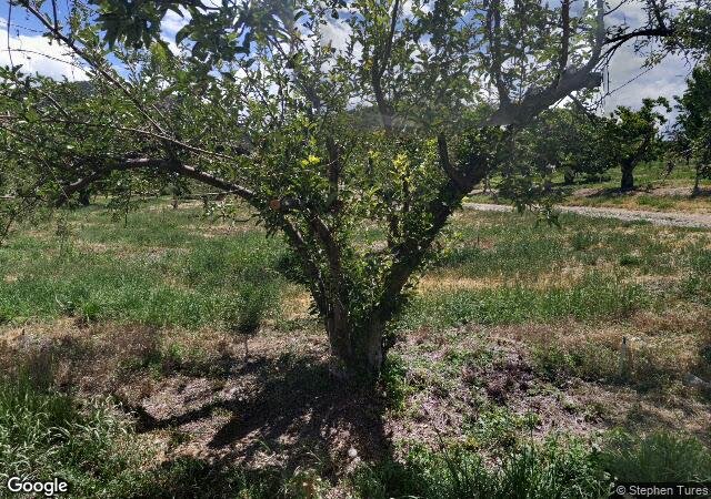 Nichols Ranch and Orchards in La Luz, NM