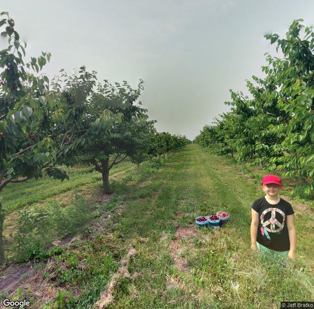 Rennie Orchards in Williamsburg, MI