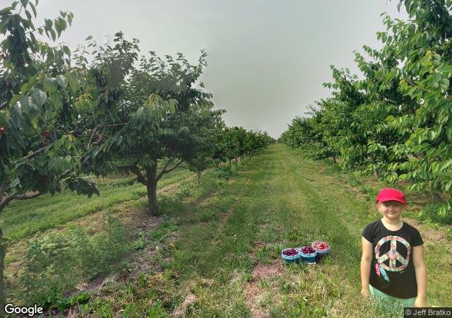 Rennie Orchards in Williamsburg, MI