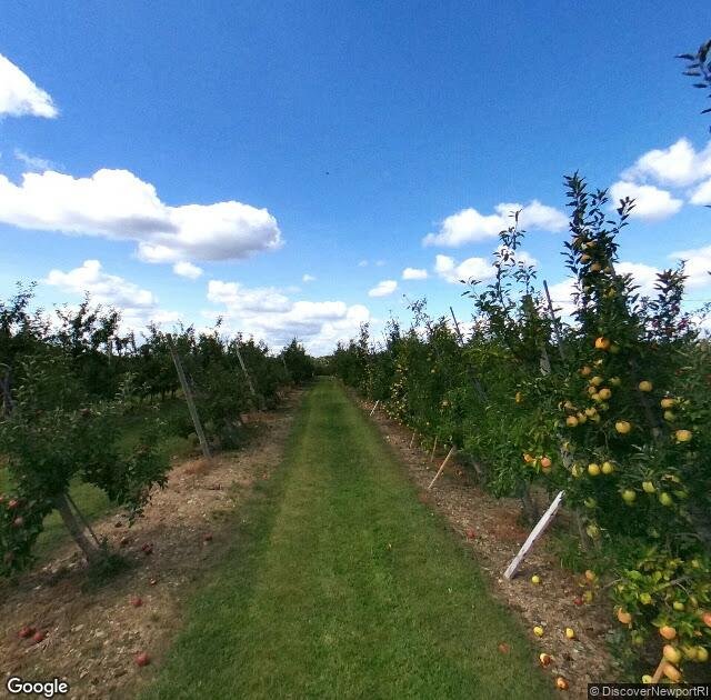 Sweet Berry Farm in Middletown, RI