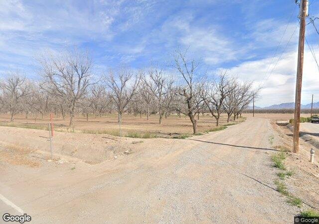 U-Pick Mesilla Valley Apples (Burke Orchard) in Las Cruces, NM